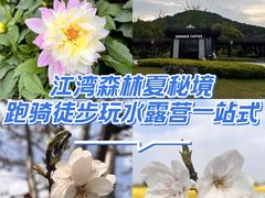 -新江湾城公园