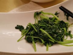 -上海汾阳花园酒店