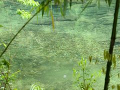 -黄山翡翠谷景区