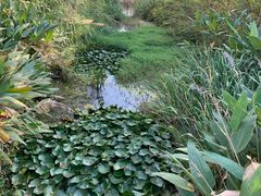 -上海国际音乐村