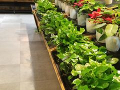 -果蔬好生活超市(乐堤港店)