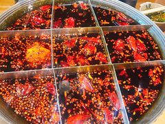 -白乐天毛肚火锅馆(解放碑店)