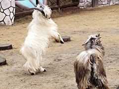 -茅山东方盐湖城景区