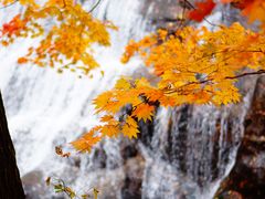 -丹东天桥沟景区