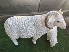 -洪记白水羊头(天坛店)