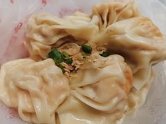 鲜虾鲜肉云吞-云云美食