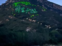 -禅宗少林·音乐大典