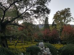 -香山公园-东宫门售票处