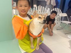 -怪兽屋·羊驼·猫咖·狗咖(俊华广场店)