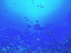 -海合安成都极地海洋公园
