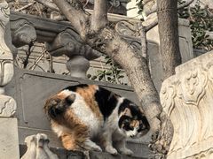 -潭柘寺景区
