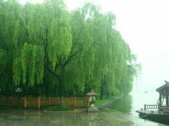 -柳浪闻莺公园