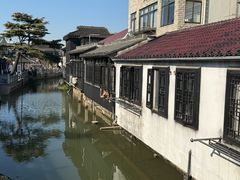 -江滩湿地公园