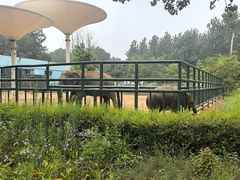-秦皇岛野生动物园