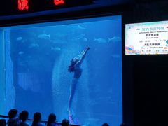 -太平洋海底世界