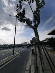 -复旦大学附属妇产科医院(杨浦院区)