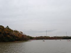 -上海海湾国家森林公园