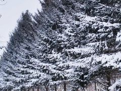 -长春市南湖公园