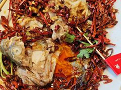-杨氏青龙虾·羊蝎子(珠江路店)