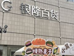 -汇德隆银隆