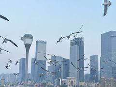 -东港音乐喷泉广场