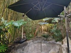 -云南滇池花园国际大酒店温泉