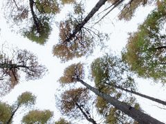 -山王坪喀斯特国家生态公园