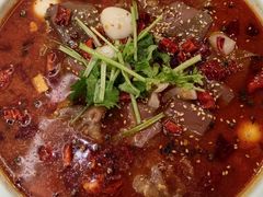 -蜀腾川·火锅鱼.烤鱼(新世界城店)