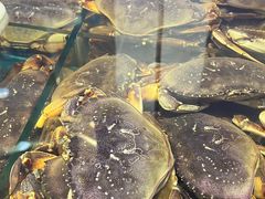 -鲜味食族水产·海鲜餐厅