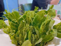 -烹然四季椰子鸡火锅(姚家园万象汇店)