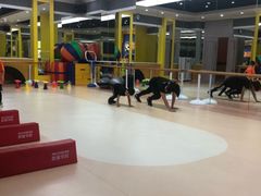 -能量学院少儿体能运动馆(公园1872店)