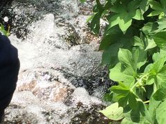 -重庆彩云湖湿地公园