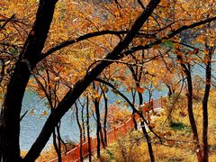 -玉渡山自然风景区