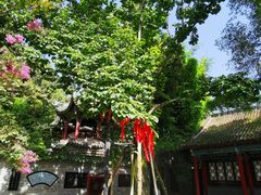 -武侯墓风景区
