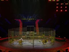 -珠海横琴长隆《卡卡虎奇遇记》