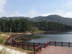 -海南热带雨林国家公园吊罗山景区