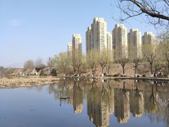 -前关湿地公园