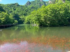 -关门山森林公园