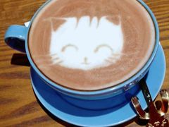 撸猫咖啡-猫色咖啡·猫咖