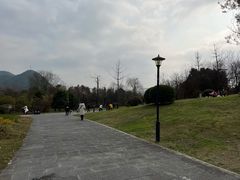 -贵阳市花溪国家城市湿地公园