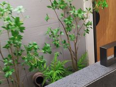 -鲁班张葱烧海参(马庄街店)