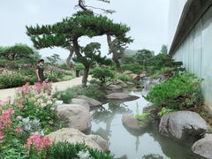 -罗红摄影艺术馆