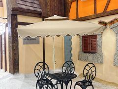 -世界之窗阿尔卑斯冰雪世界
