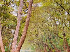 -西溪南古村落