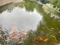 -北京世界公园