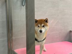 -宠福鑫康馨动物医院·骨科·眼科