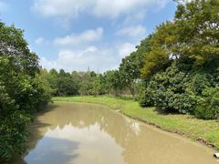 -上海海湾国家森林公园