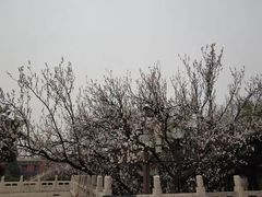 -玉佛苑