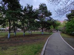 -黛秀湖公园