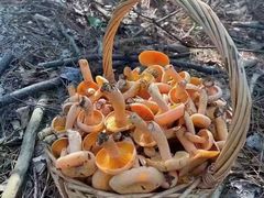 -禾田餐厅•乡野湖北菜(徐东店)